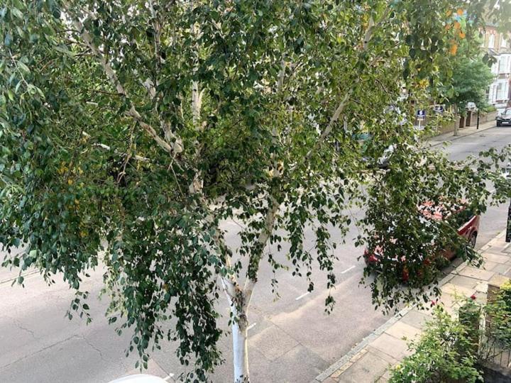 Lovely Spacious 1-Bedroom Flat In Tufnell Park Close To Central Londra Esterno foto